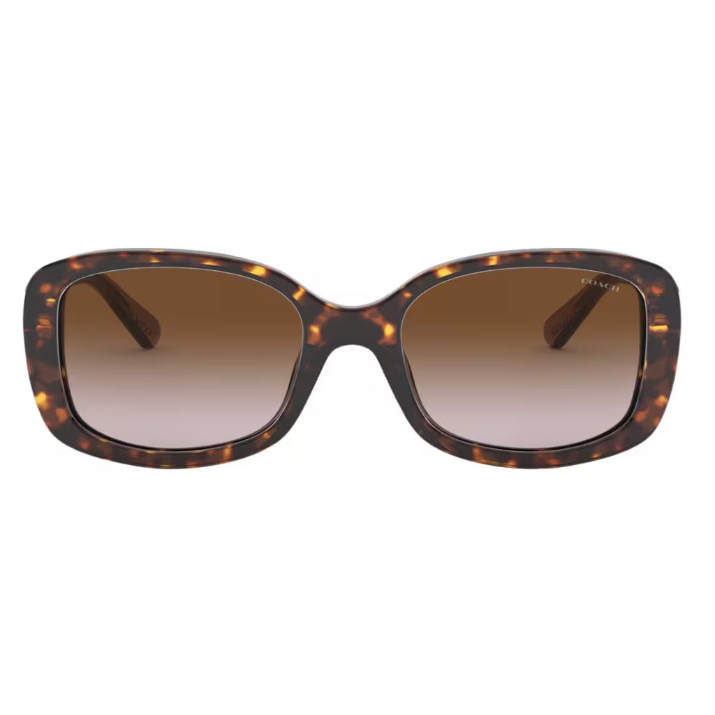 Coach - Sun Tortoise - Image 3