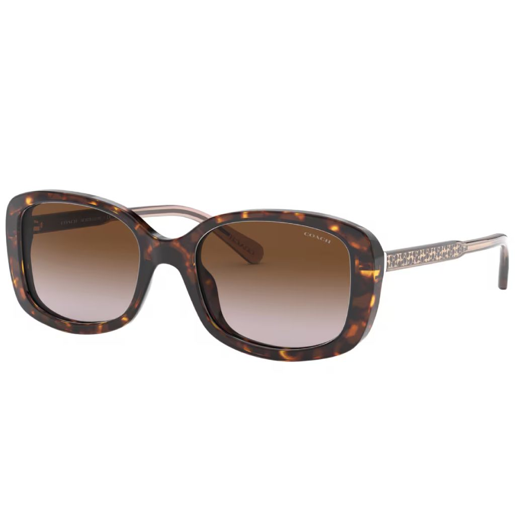 Coach - Sun Tortoise - Image 2