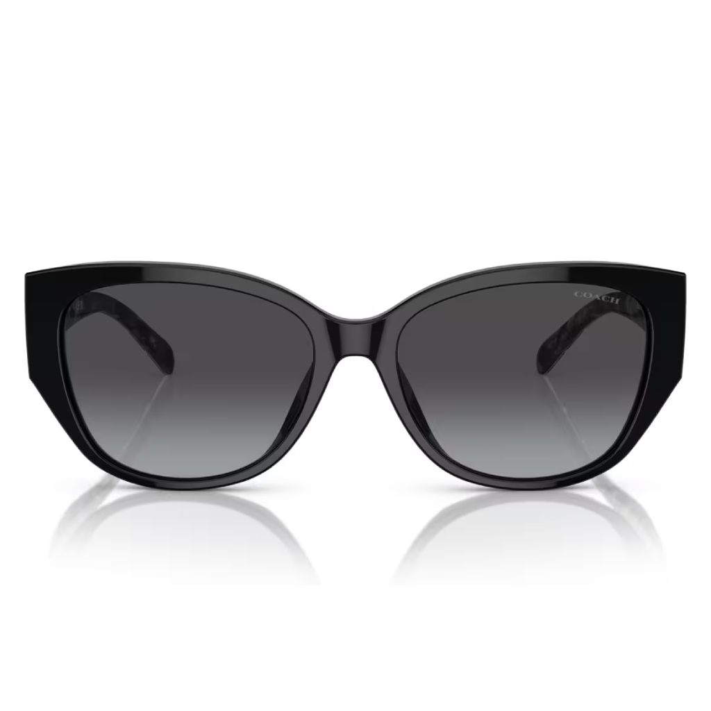 Coach - Sun Eclipse Prestige - Image 2