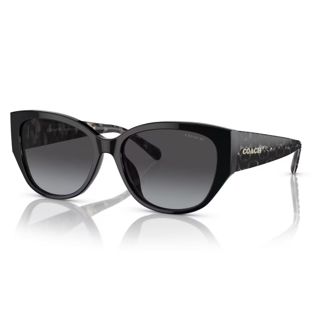 Coach - Sun Eclipse Prestige - Image 3