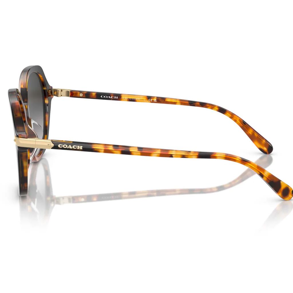 Coach - Sun Shadow Heritage - Image 3