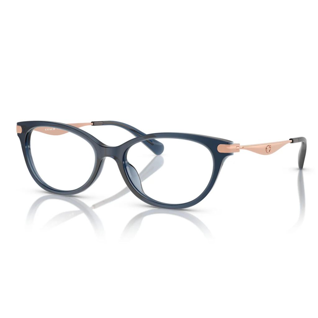 Coach - Slate Select - Image 2