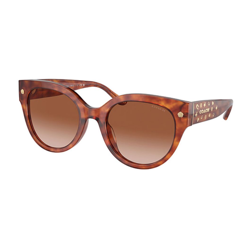Coach - Sun Tortoise - Image 2