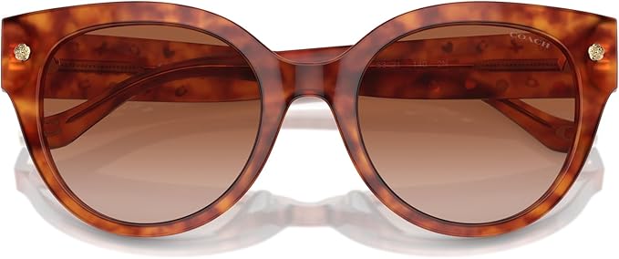 Coach - Sun Tortoise - Image 3